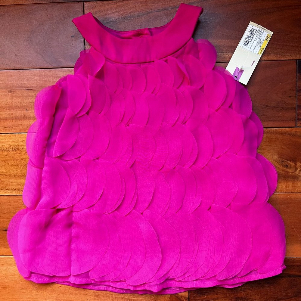 12M Cherokee Pink Ruffle Party Dress